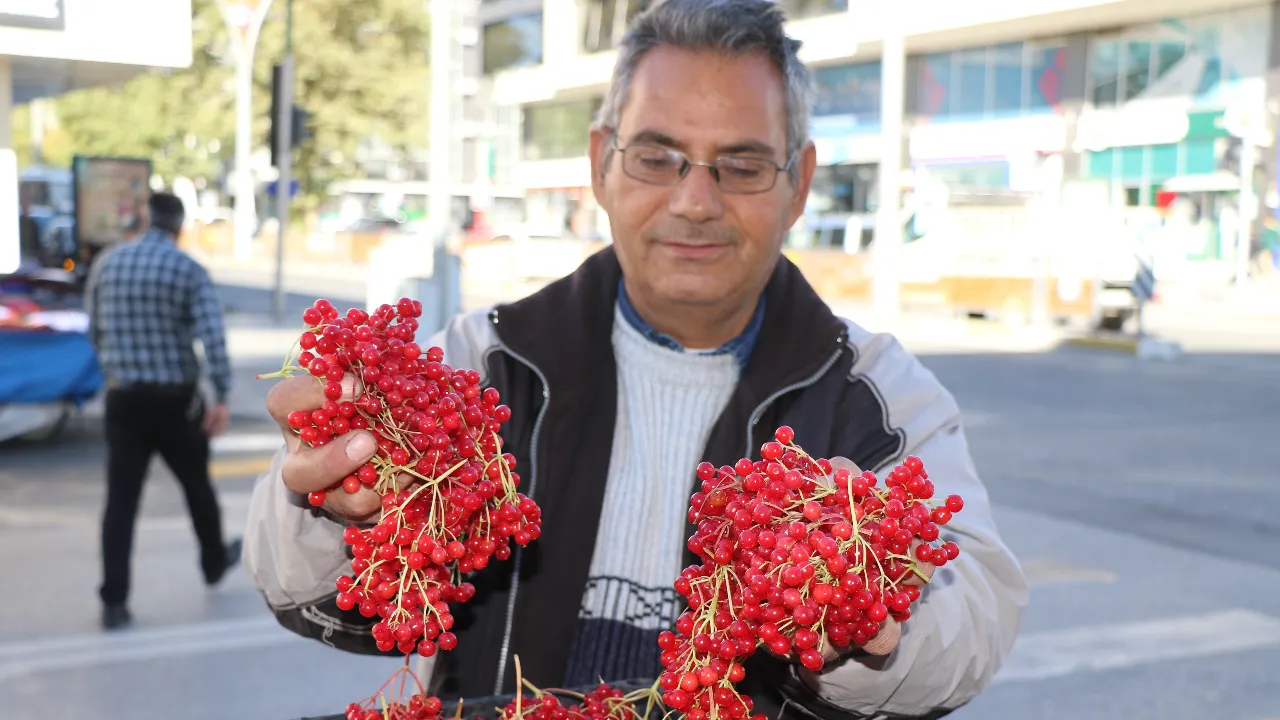 'Gençlik iksiri' olarak biliniyor! Şifa deposu galiburu tezgahlarda yerini aldı 