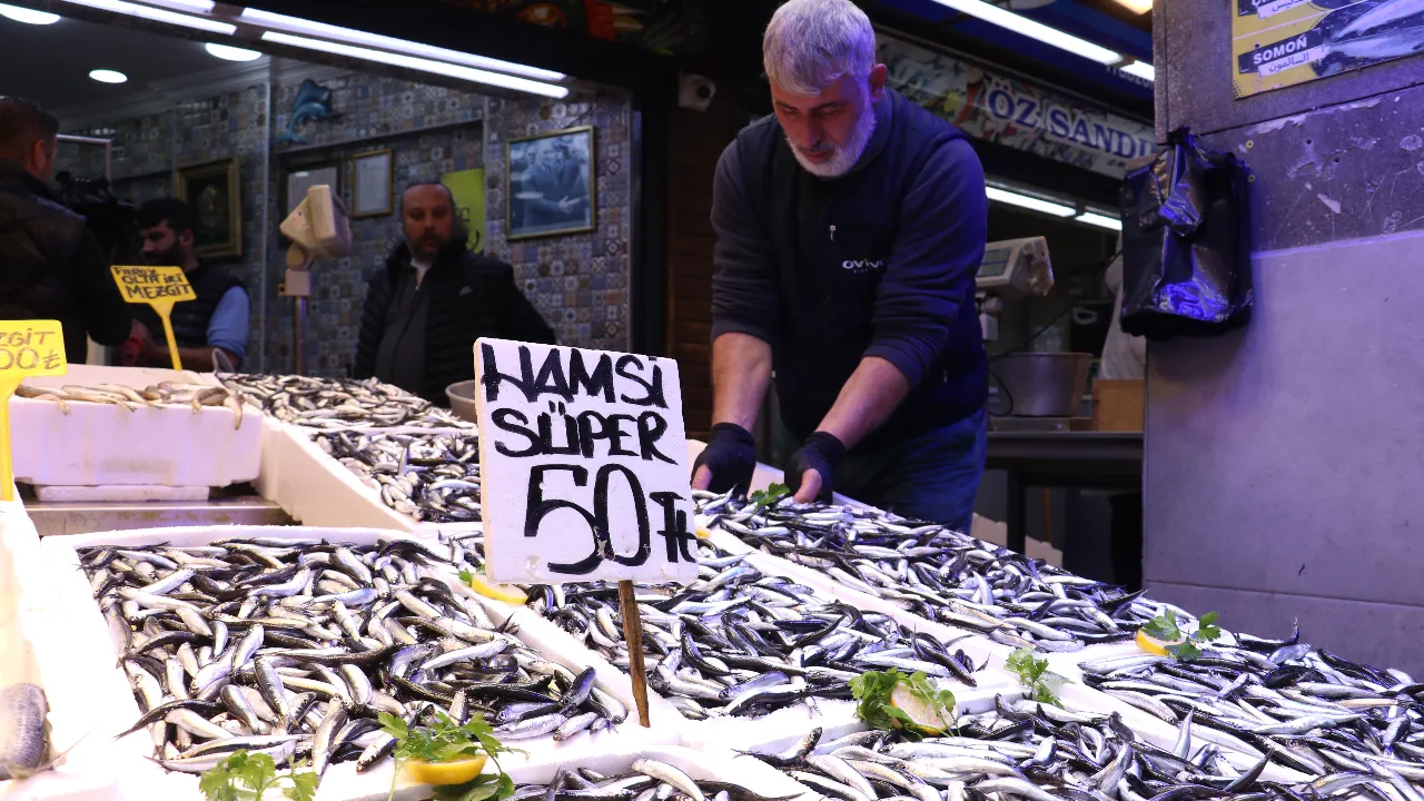 Hamsinin fiyatı 50 liraya düştü 