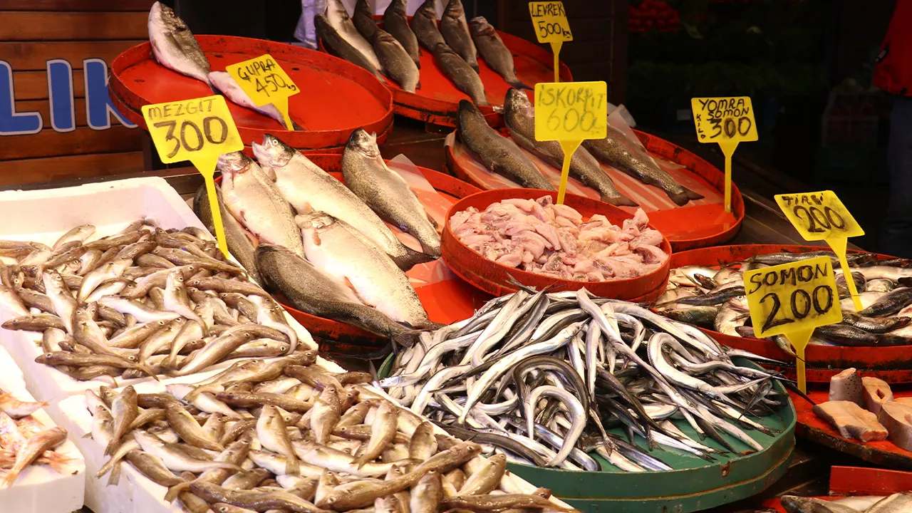 Hamsideki bolluk fiyatlara yansıdı! Kilosu 50 liraya yok satıyor