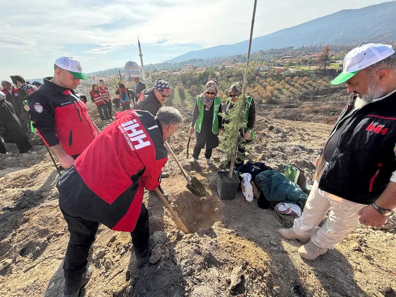 Milli Ağaçlandırma Gününde İHH’dan çiftçilere fidan desteği