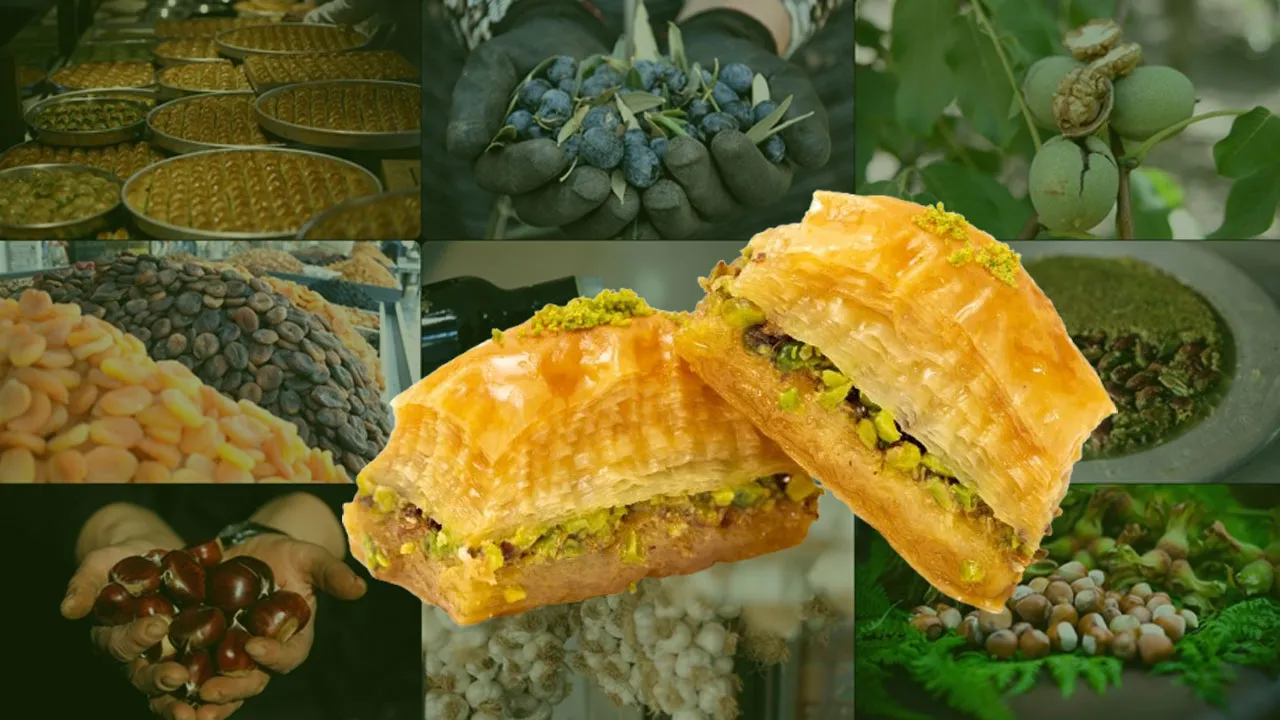 Türkiye’nin coğrafi işaretli ürünleri Avrupa’ya bedel