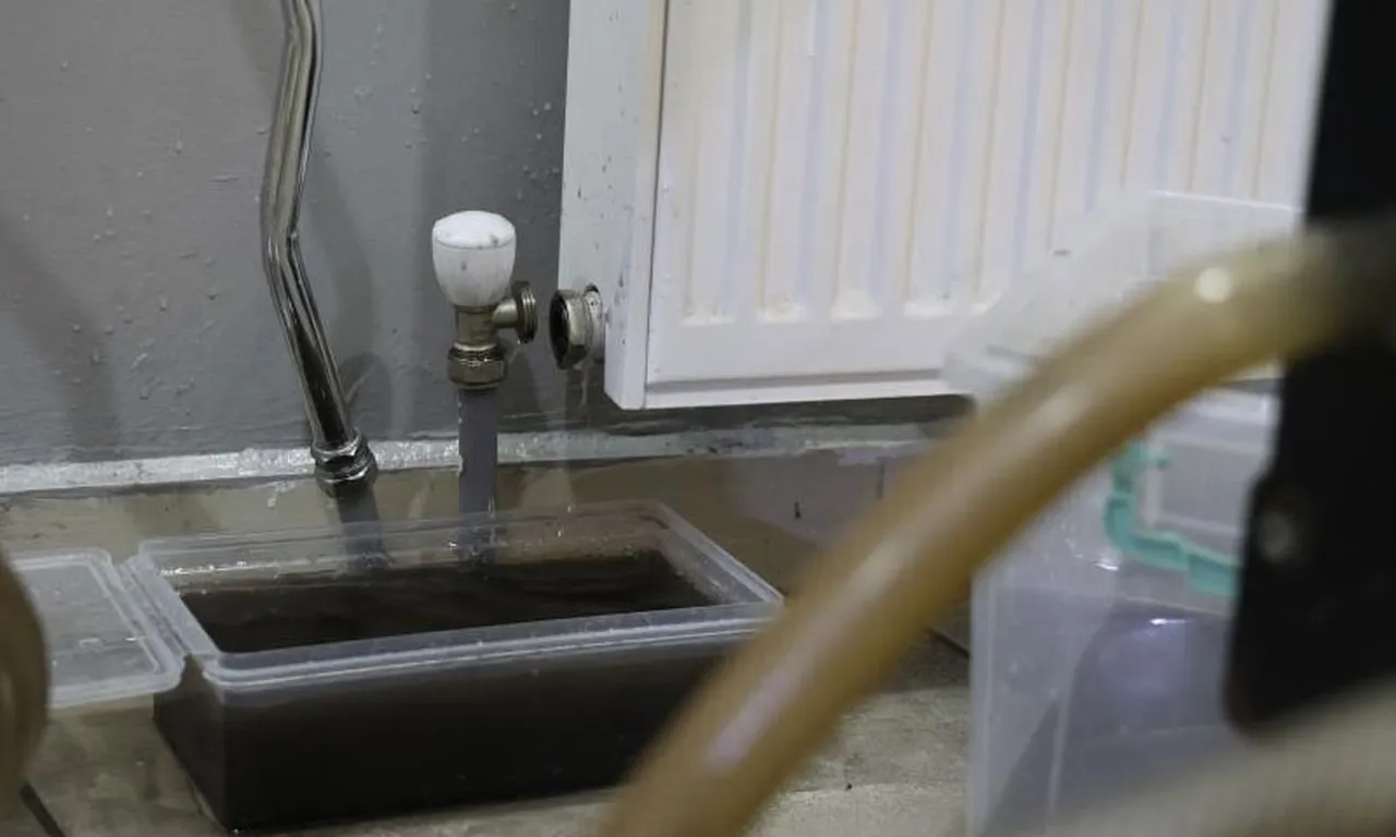 Petekler sökülmeden tamamen temizlenebiliyor.