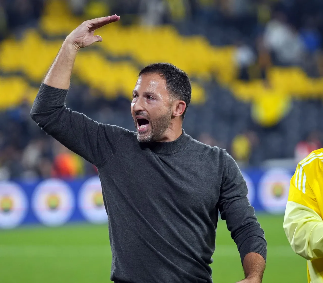 Fenerbahçe Teknik Direktörü Domenico Tedesco