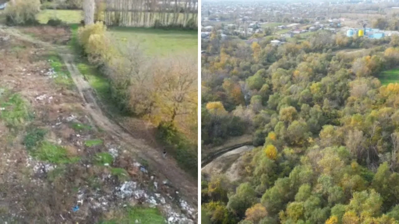 Gürcistan'da sır ölüm! Türk vatandaşı ormanlık alanda bulundu