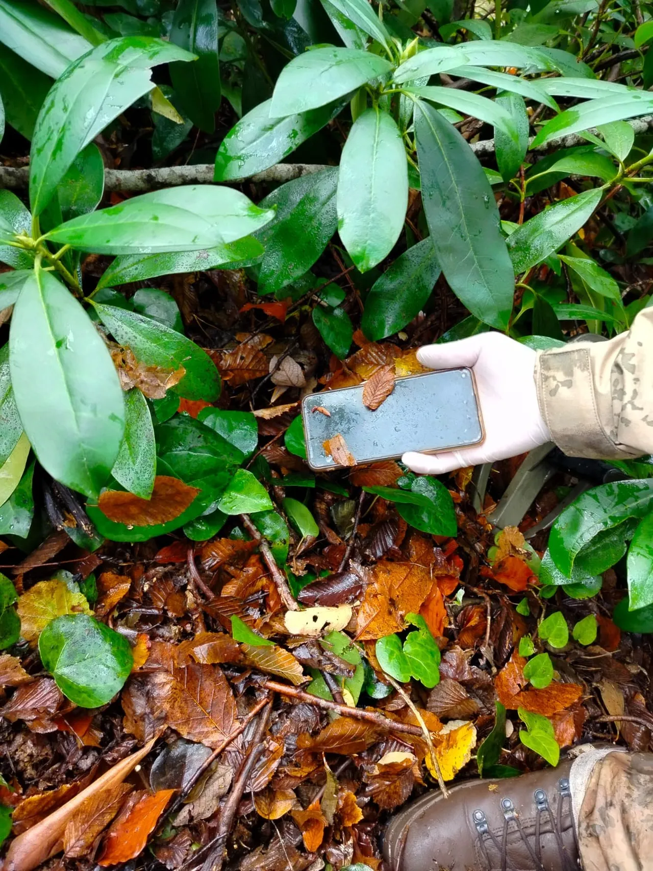 Huriye Helvacı'nın telefonu bulundu! Tüm gizem çözülecek