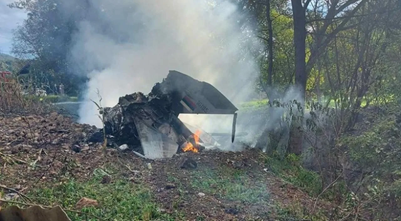 Sırbistan'da 2020'de düşen uçak / ARŞİV