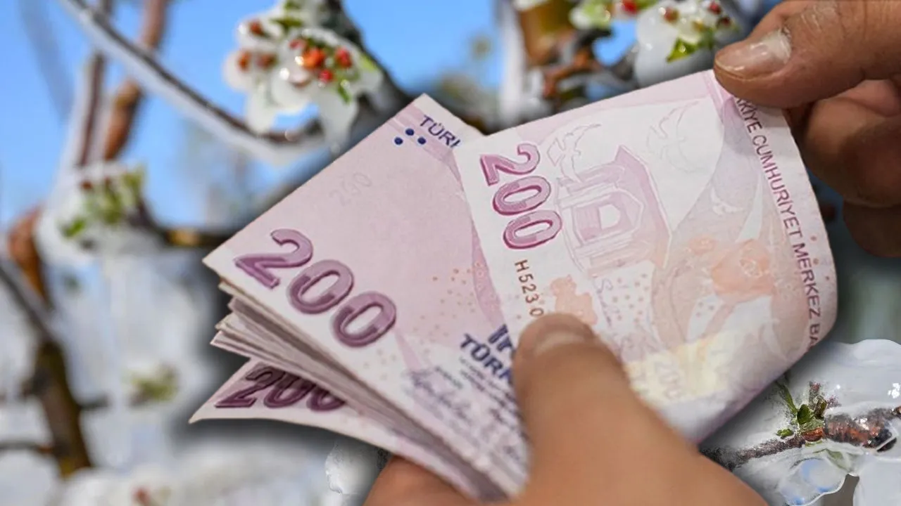 Zirai dondan etkilenen üreticilere destek! 