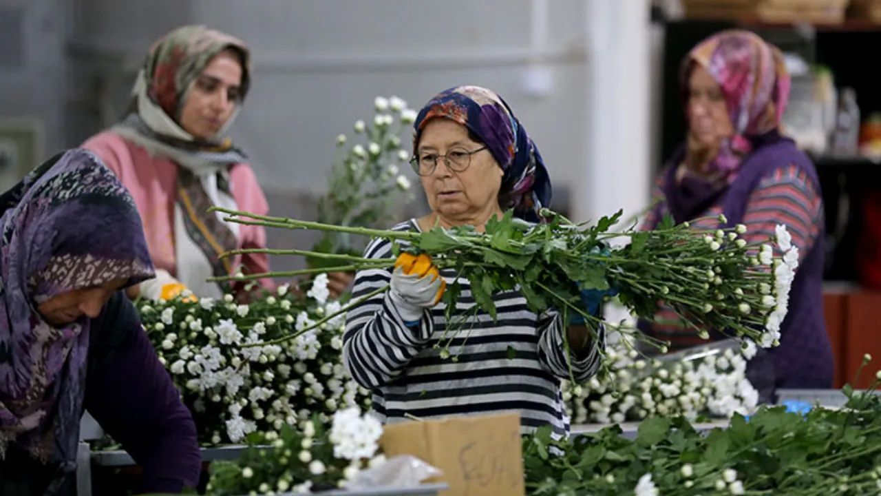 Çiçek sektörü ihracatta rekora koşuyor 