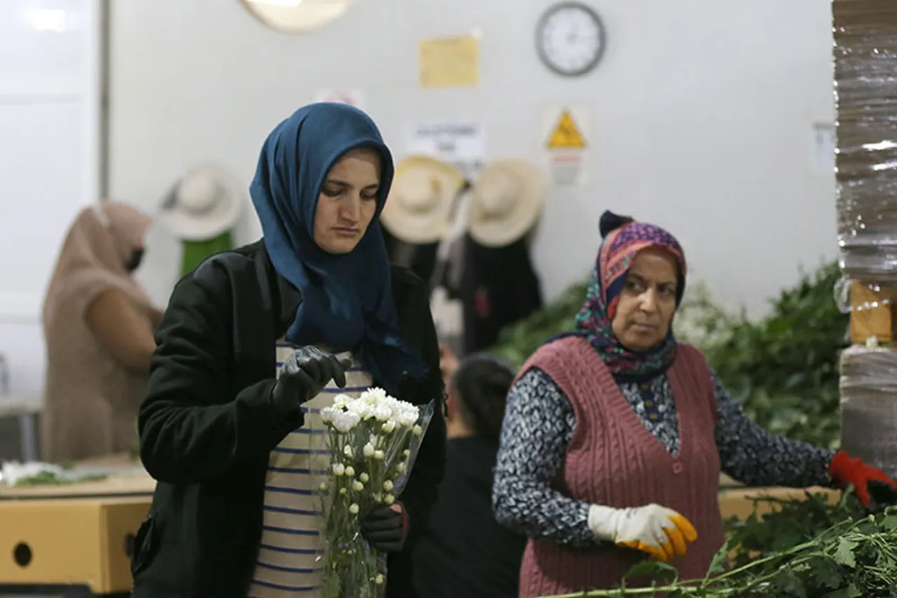 80 ülkeye satıyoruz! Çiçek sektörü ihracatta rekora koşuyor