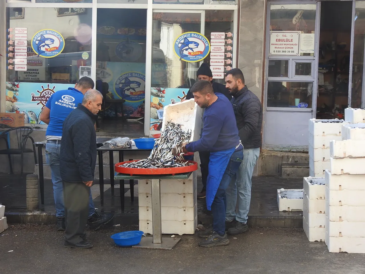 Tezgahta bolluk var: Kilosu 100 liraya düştü, vatandaş akın etti