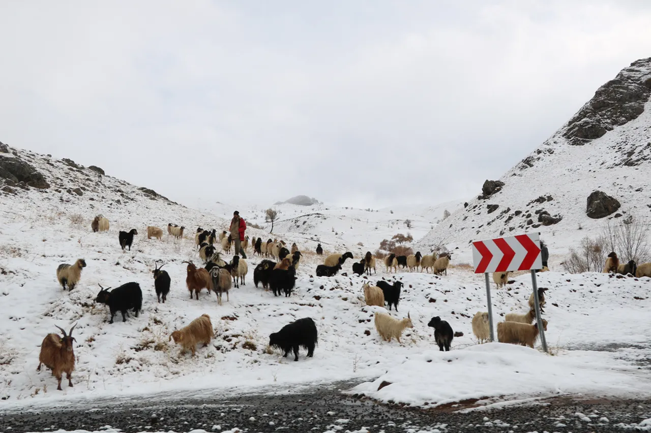 Türkiye mevsimin ilk karına uyandı! Çok sayıda il beyaza büründü, kar kalınlığı 10 santimetreye dayandı