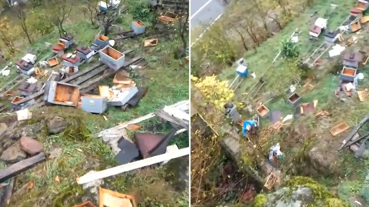 Yılların emeği bir gecede bitti! Trabzonlu köylünün büyük yıkımı