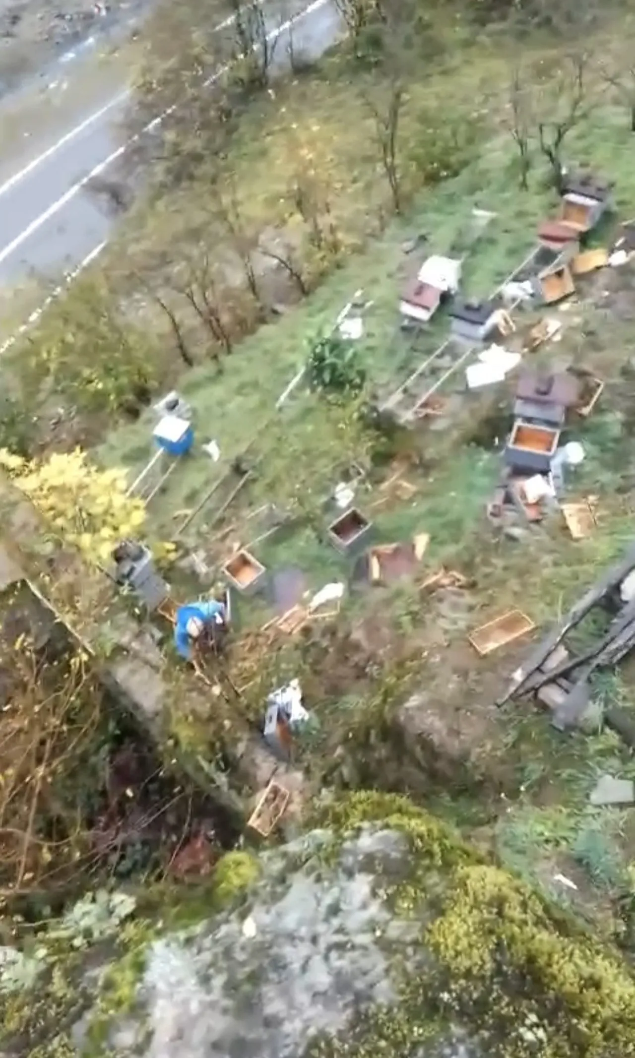 Yılların emeği bir gecede bitti! Trabzonlu köylünün büyük yıkımı