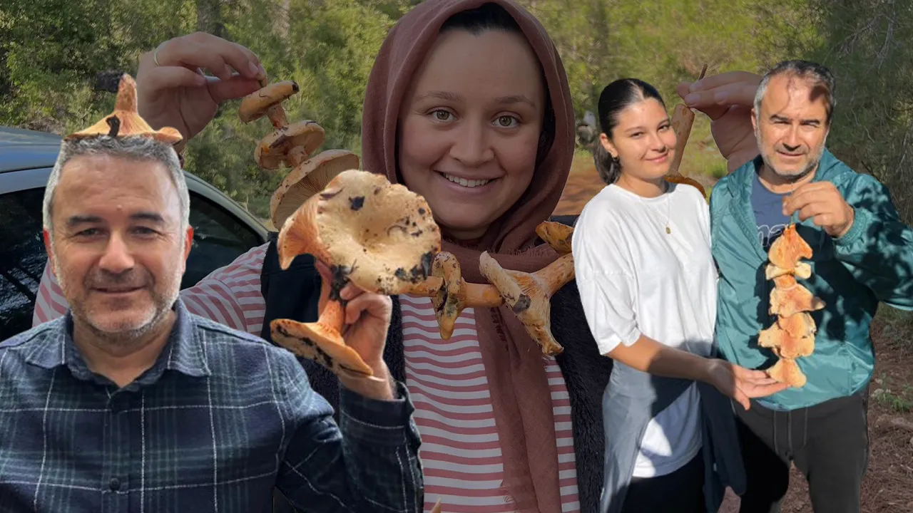 Antalyalıların geçim kaynağı oldu! Kilosu 400 liradan satılıyor, sabah toplanıyor