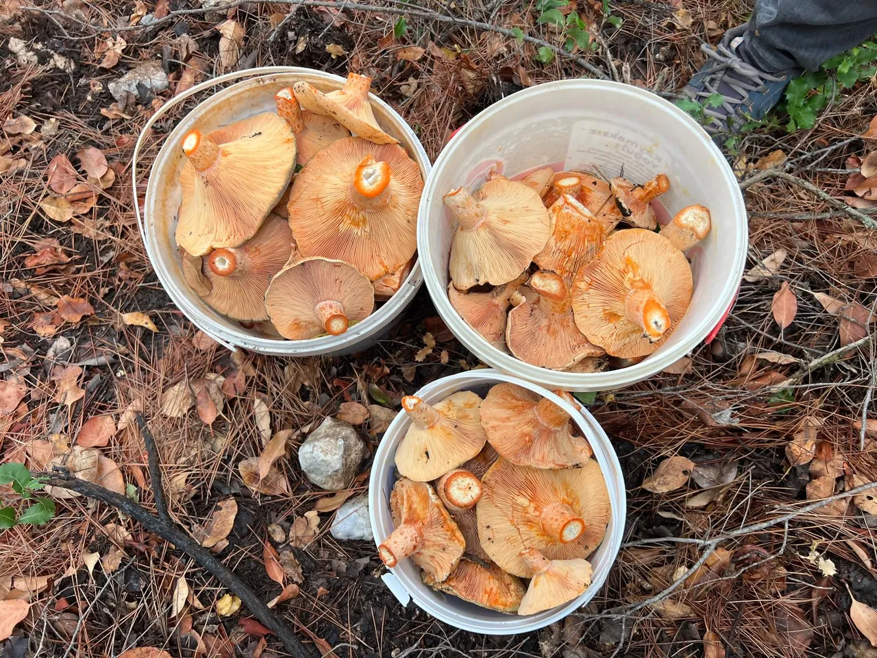 Sabahın ilk ışıkları ile yola çıkıyorlar