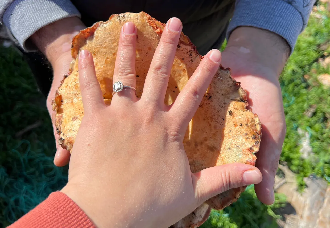 Mantarın büyüklüğü dikkat çekti