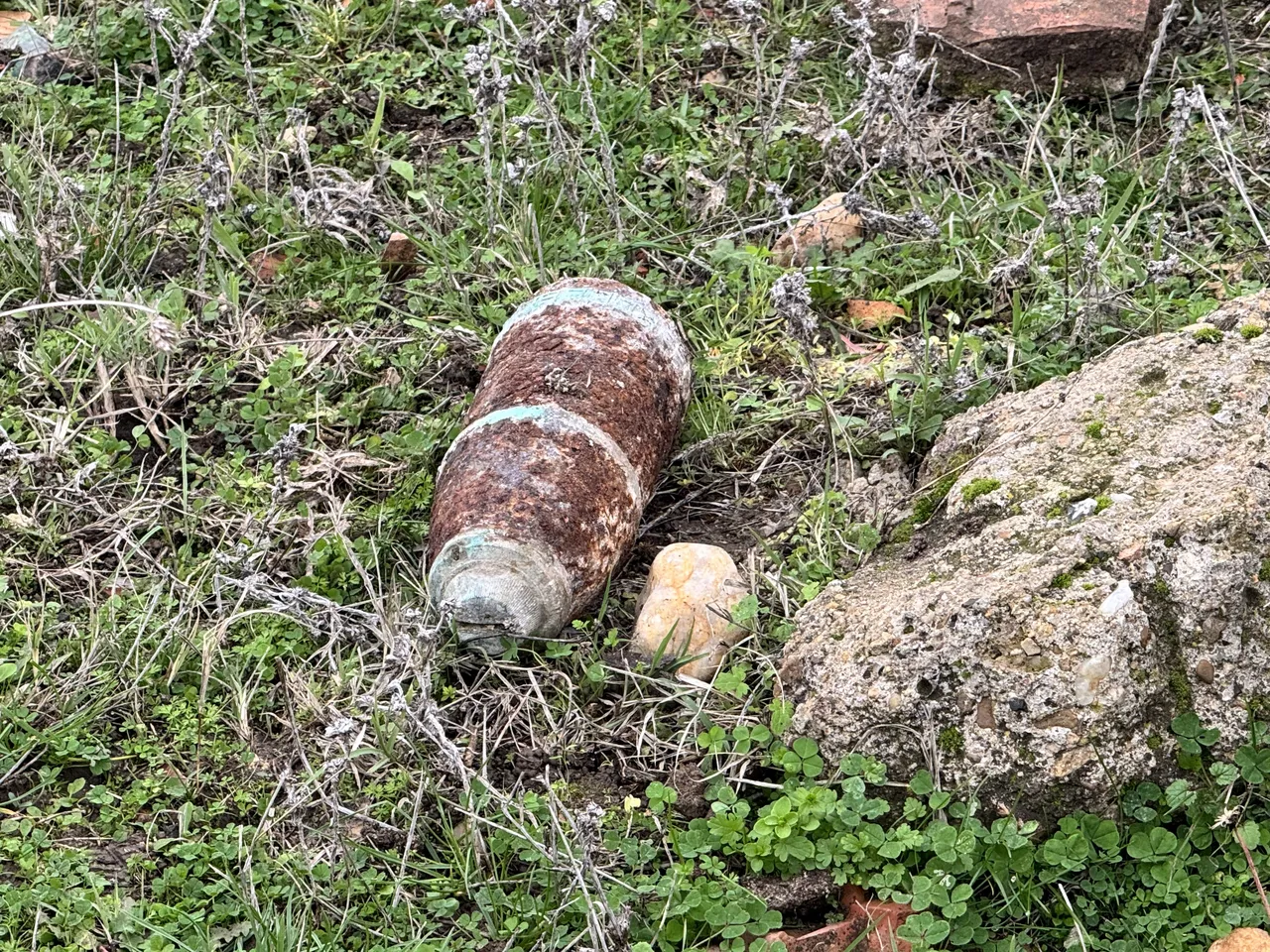 Edirnede mantar toplayan köylüler fark etti! Top mermisi ekipleri harekete geçirdi