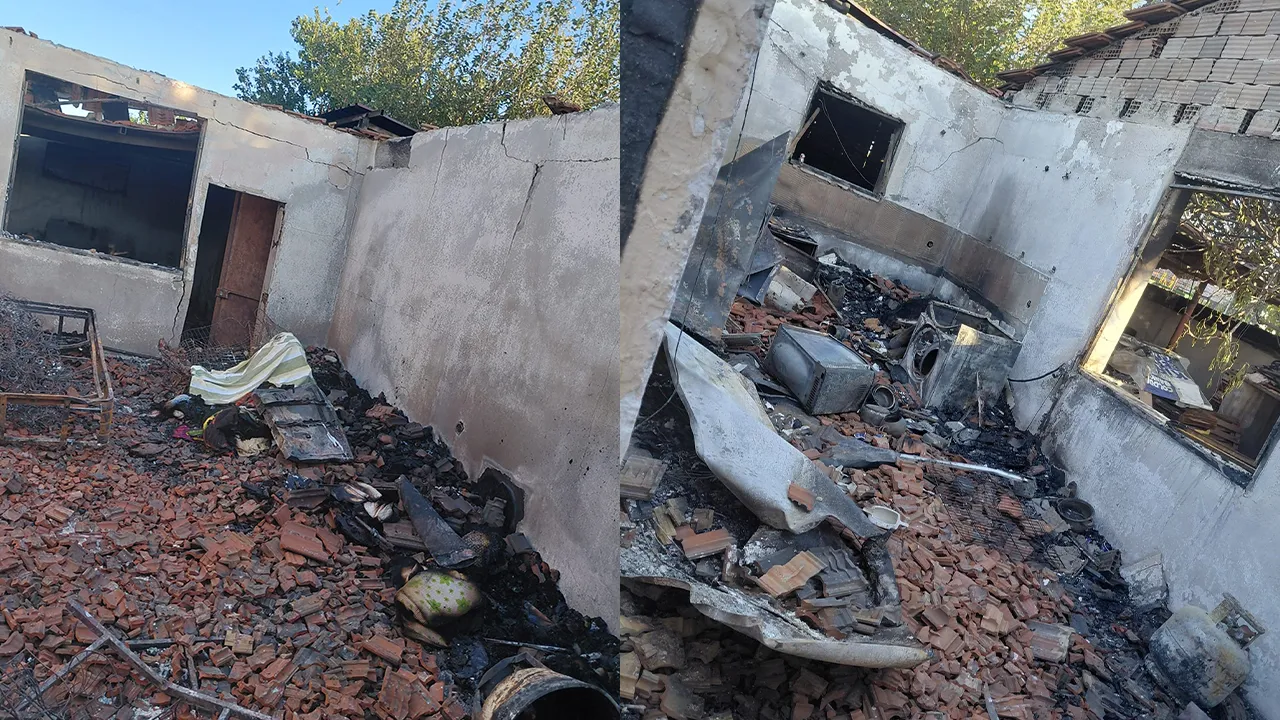 İzmir'de Şule Çörekçi 20 kedisiyle birlikte öldü