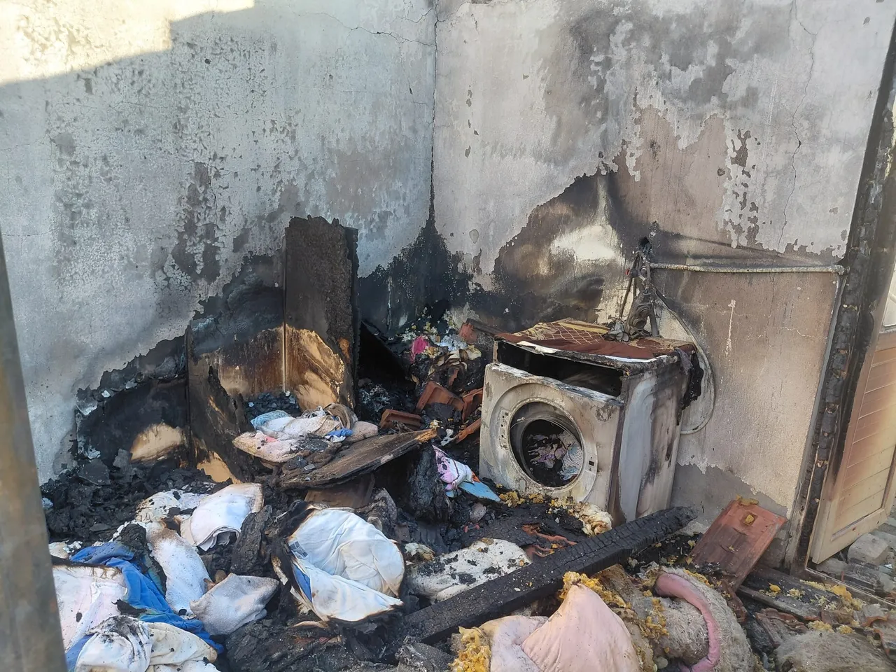 İzmir'de Şule Çörekçi 20 kedisiyle birlikte öldü