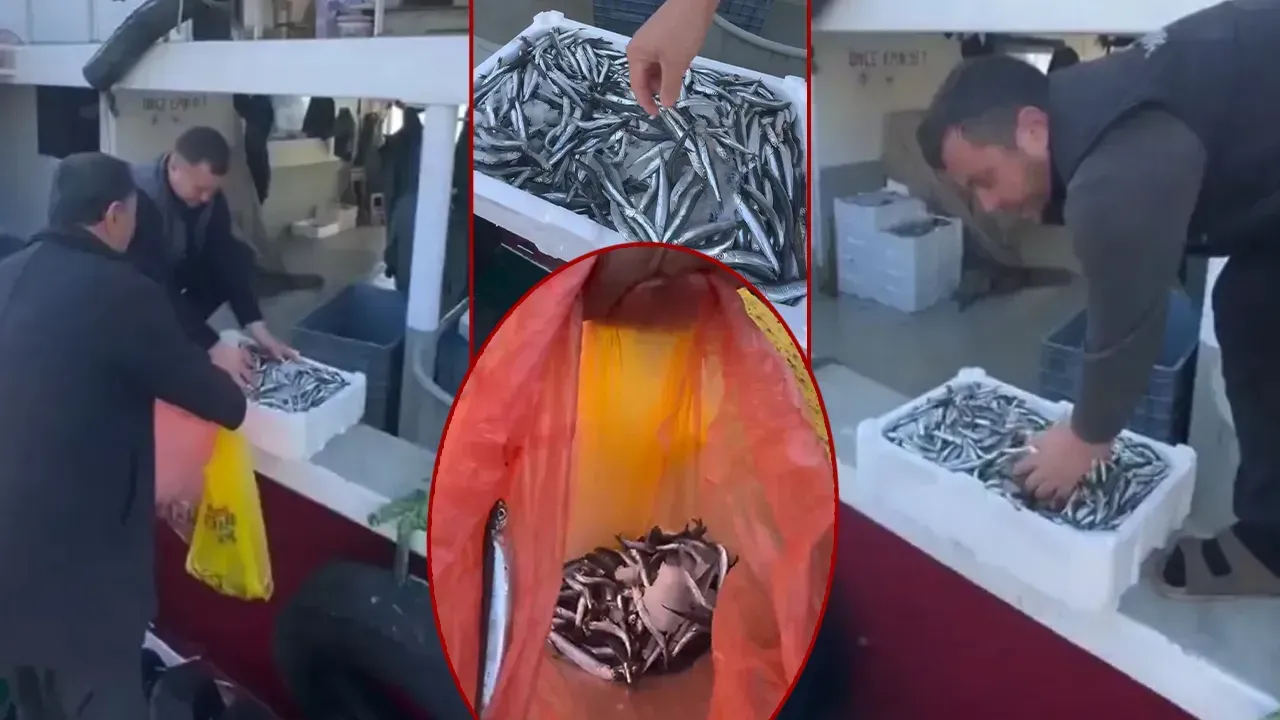 FAHİŞ FARKA İSYAN ETTİLER