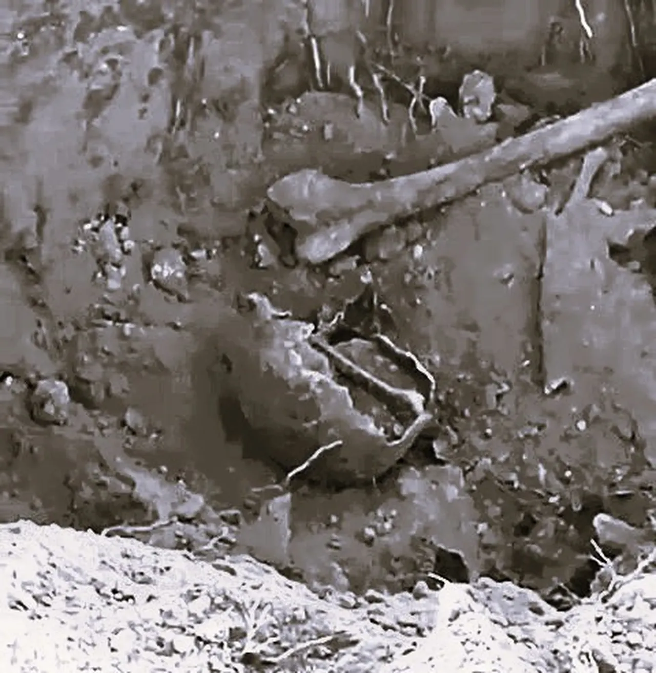 Küpün içinden çıkan insan kemikleri