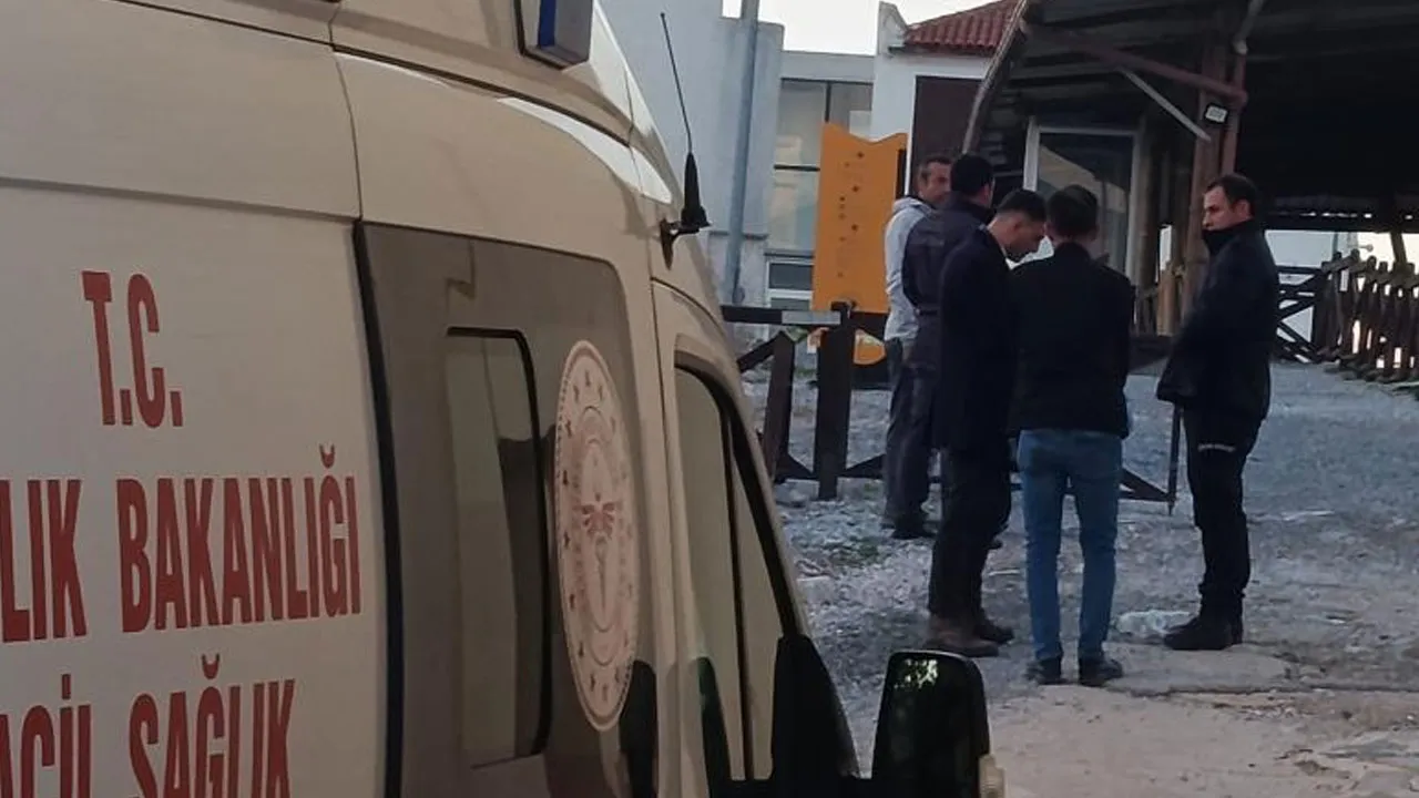 Güvenlik görevlisi, müzedeki nöbet yerinde ölü bulundu