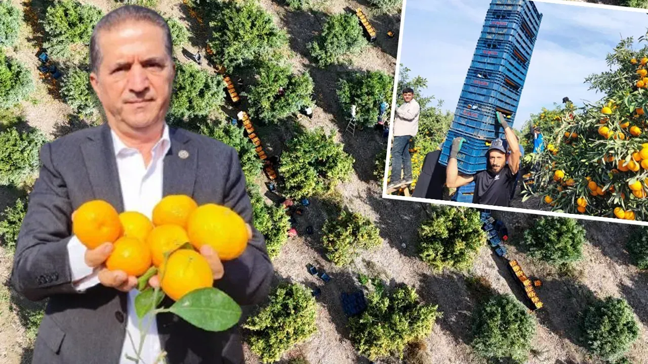 KİLOSU 3 LİRAYA DÜŞTÜ!