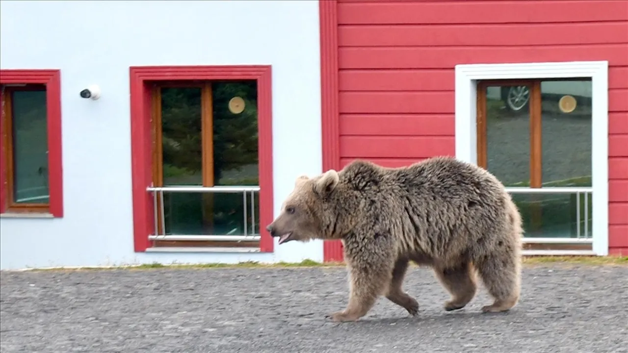 Kaynak: Anadolu Ajansı