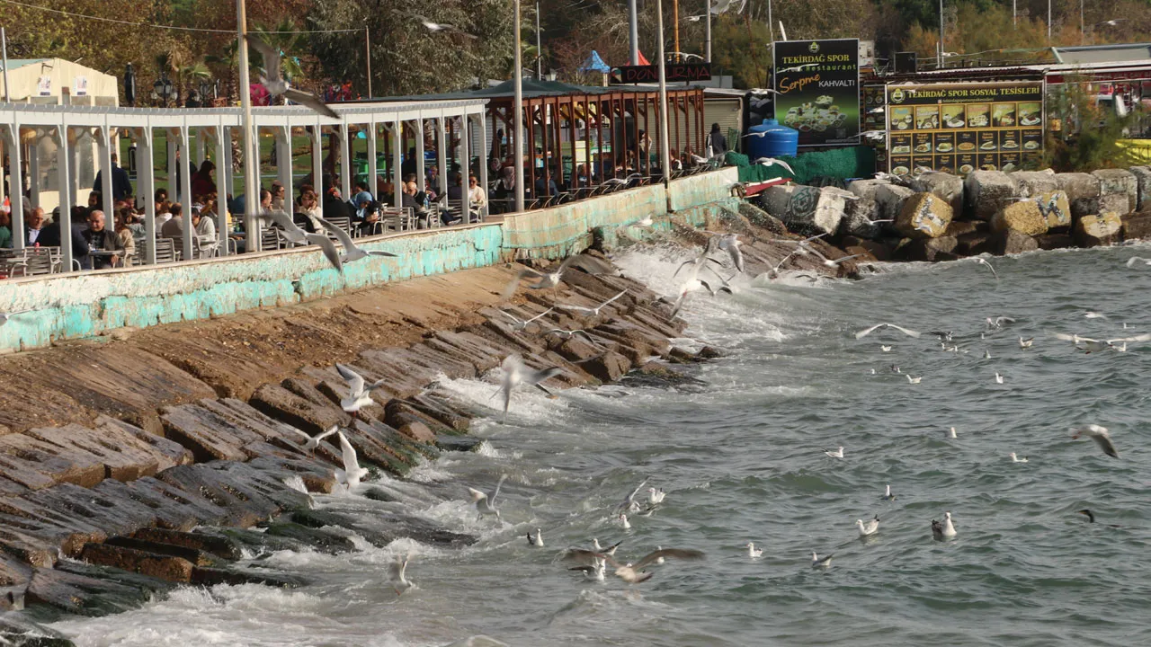 Tekirdağ'da balıkçılığa lodos engeli! Tekneler denize açıklamadı