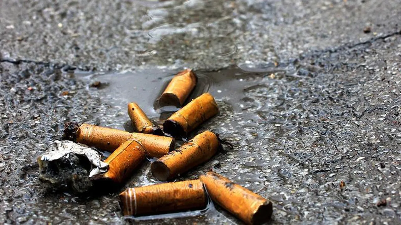 Yere sigara izmariti atana rekor ceza! Çevre kirliliği binlerce euroya patlayacak