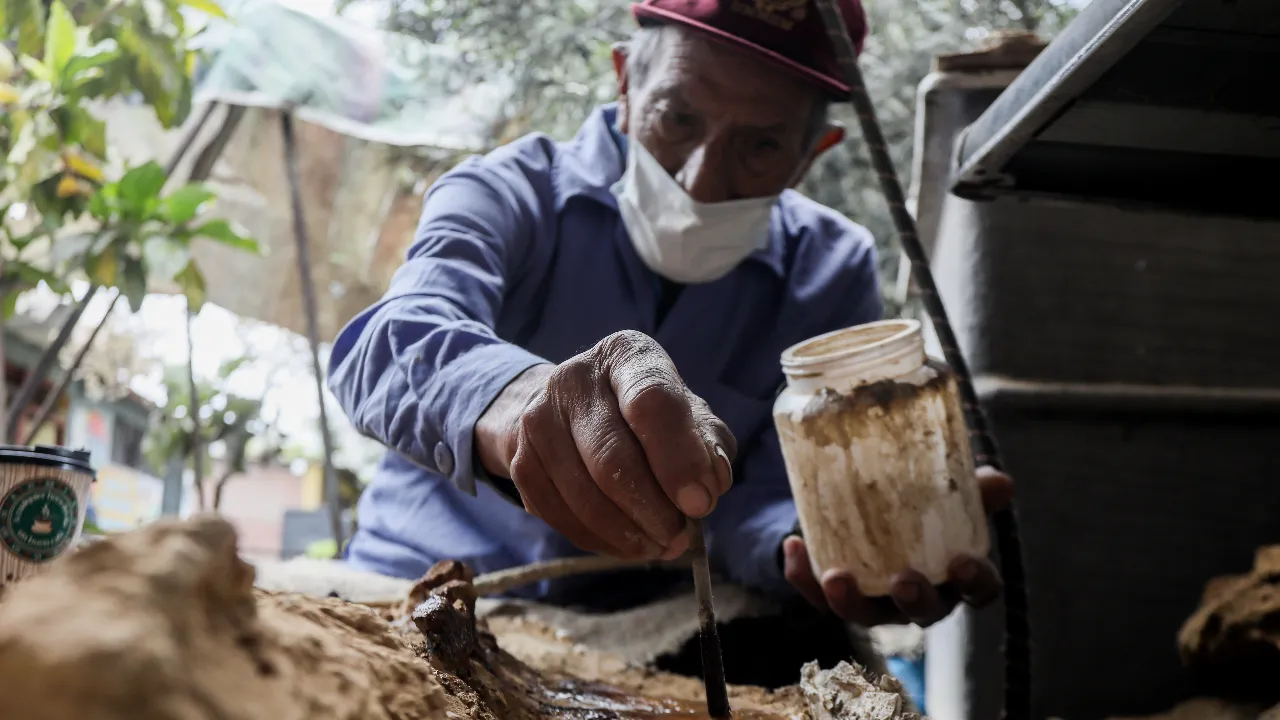 20 milyon yıllık dev deniz kuşu fosili restore ediliyor