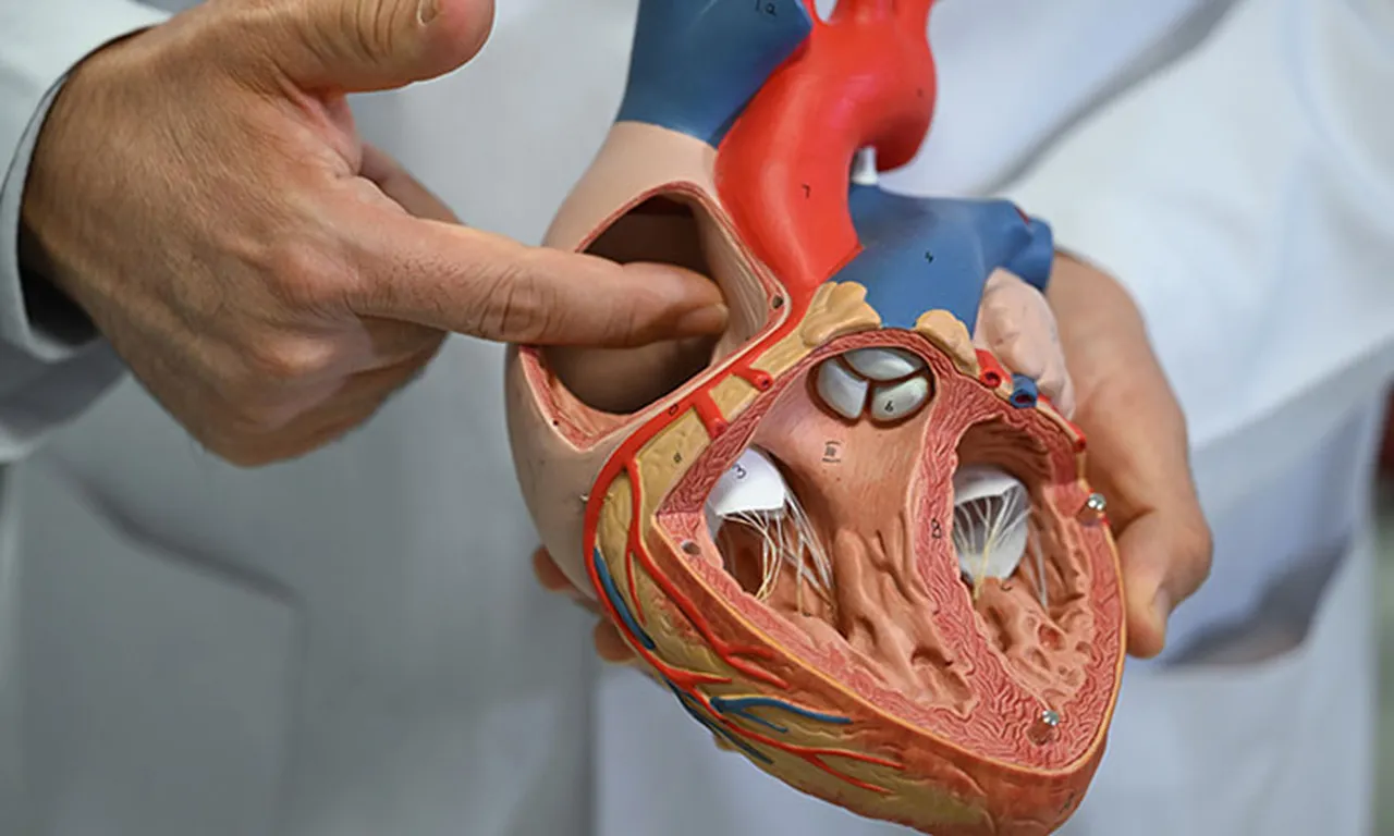 25 yaşındaki hasta: “Beni gören birisi 'Sana ne oldu?' diye telaşlanıyordu. Yorulmak benim için normaldi.”