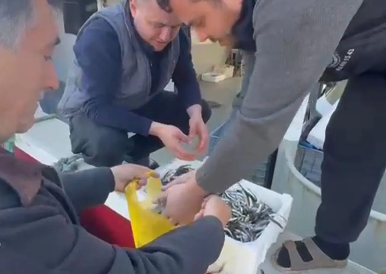 Bunun adı resmen fırsatçılık! Kilosunu 200 liraya sattıkları hamsinin kasasını bakın kaça alıyorlar
