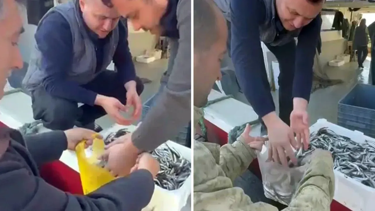 BUNUN ADI RESMEN FIRSATÇILIK!