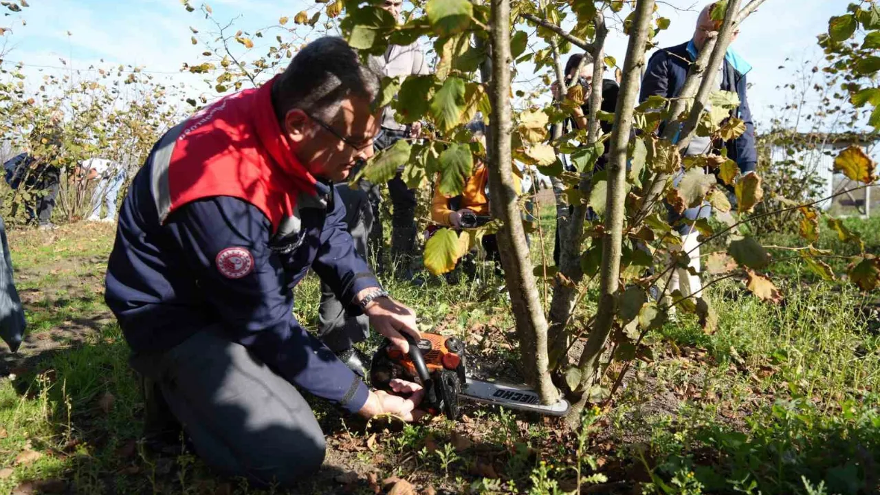 Fındık üreticilerinin nelere dikkat etmesi gerekiyor? En az sulama kadar önemli