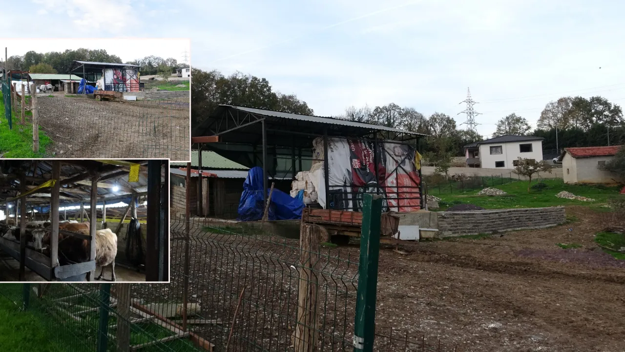 İstanbul'da 'şap' alarmı! 21 mahalle karantinaya alındı