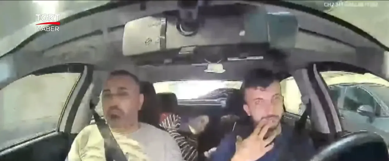 Böcek ailesinin taksideki görüntüleri