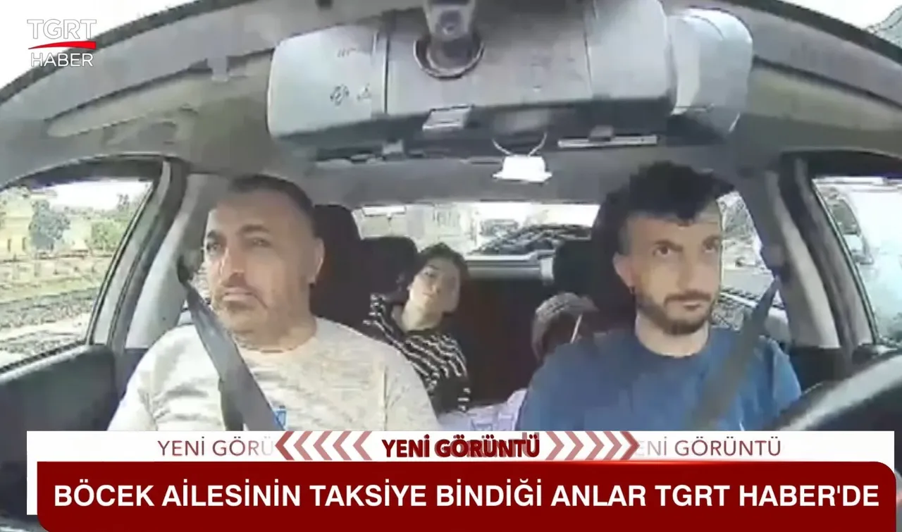 Böcek ailesinin taksideki görüntüleri