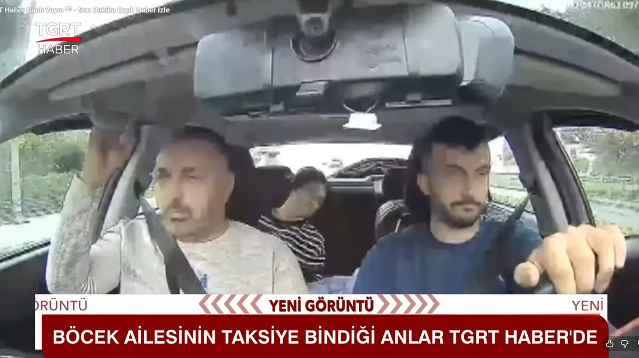 Böcek ailesinin taksideki görüntüleri