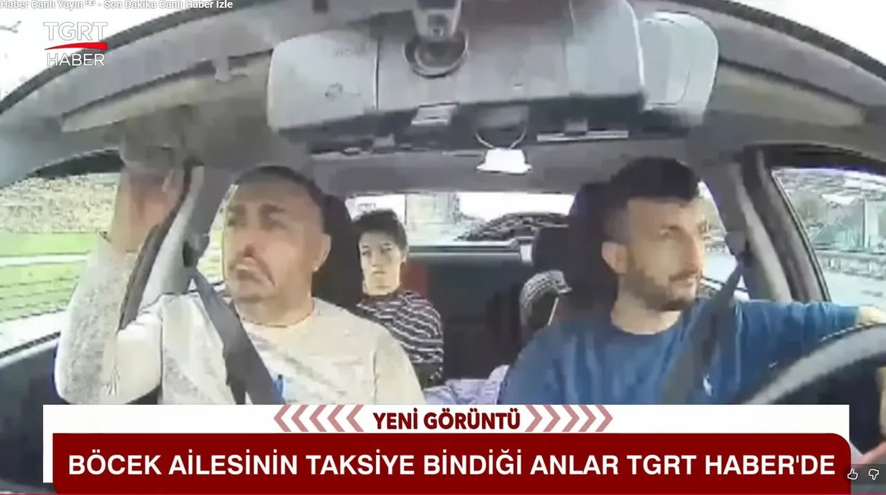 Böcek ailesinin taksideki görüntüleri