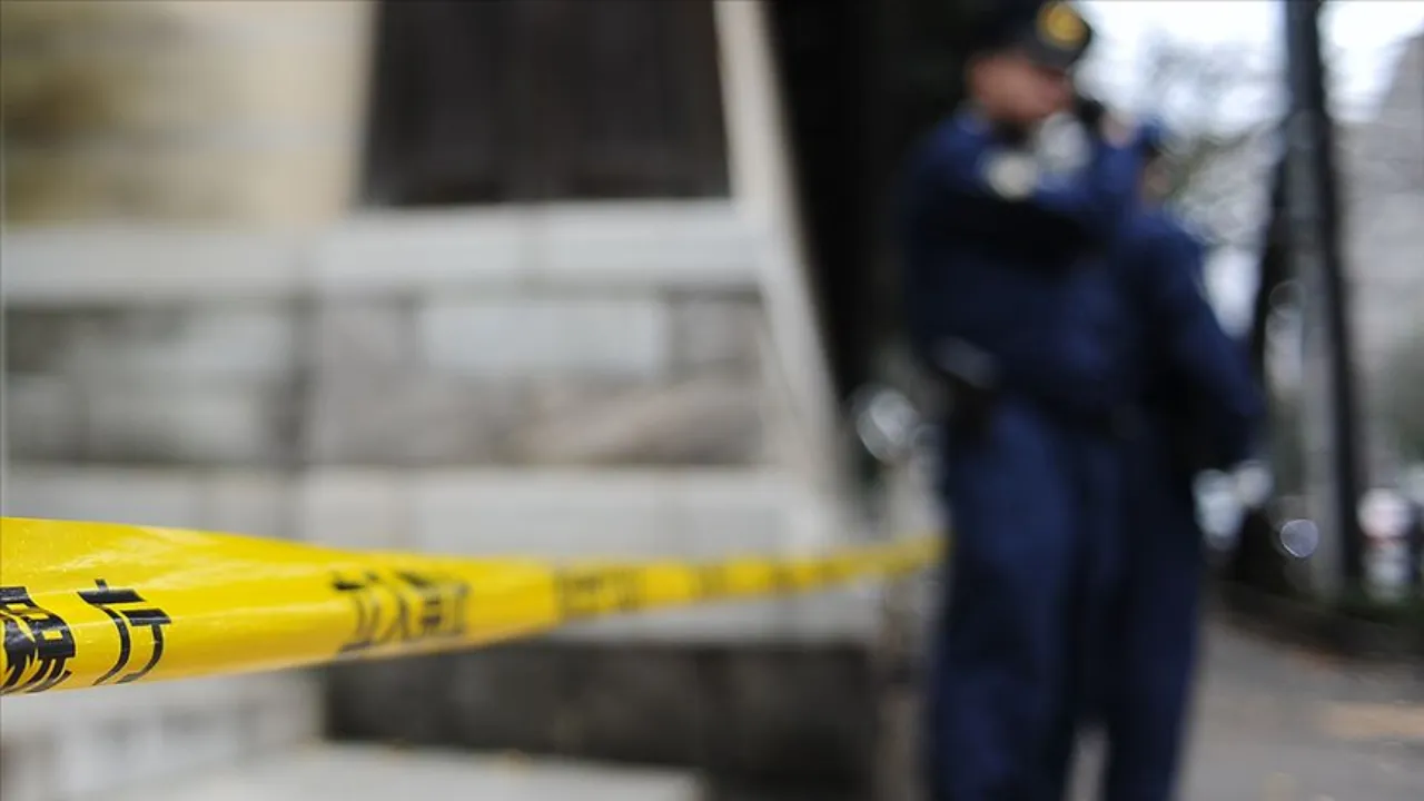 Japonya'da tek motorlu uçak dağlık alana çakıldı