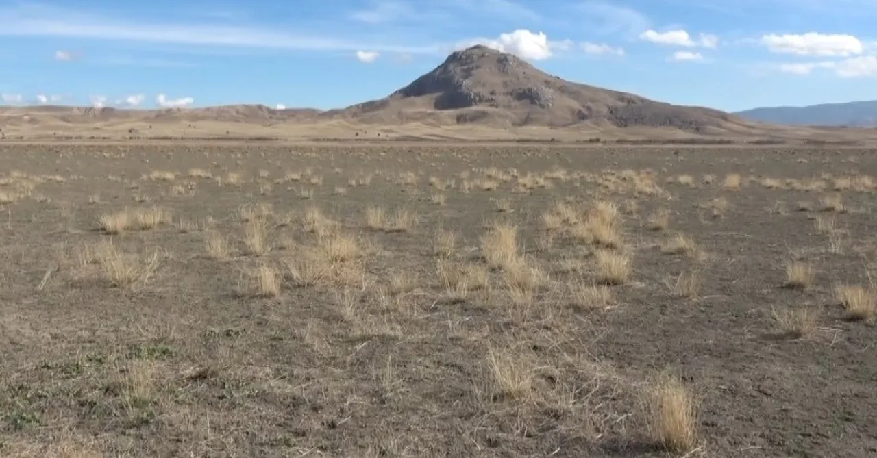 Köylülerin geçim kaynağıydı! Geriye sadece kurumuş toprak kaldı