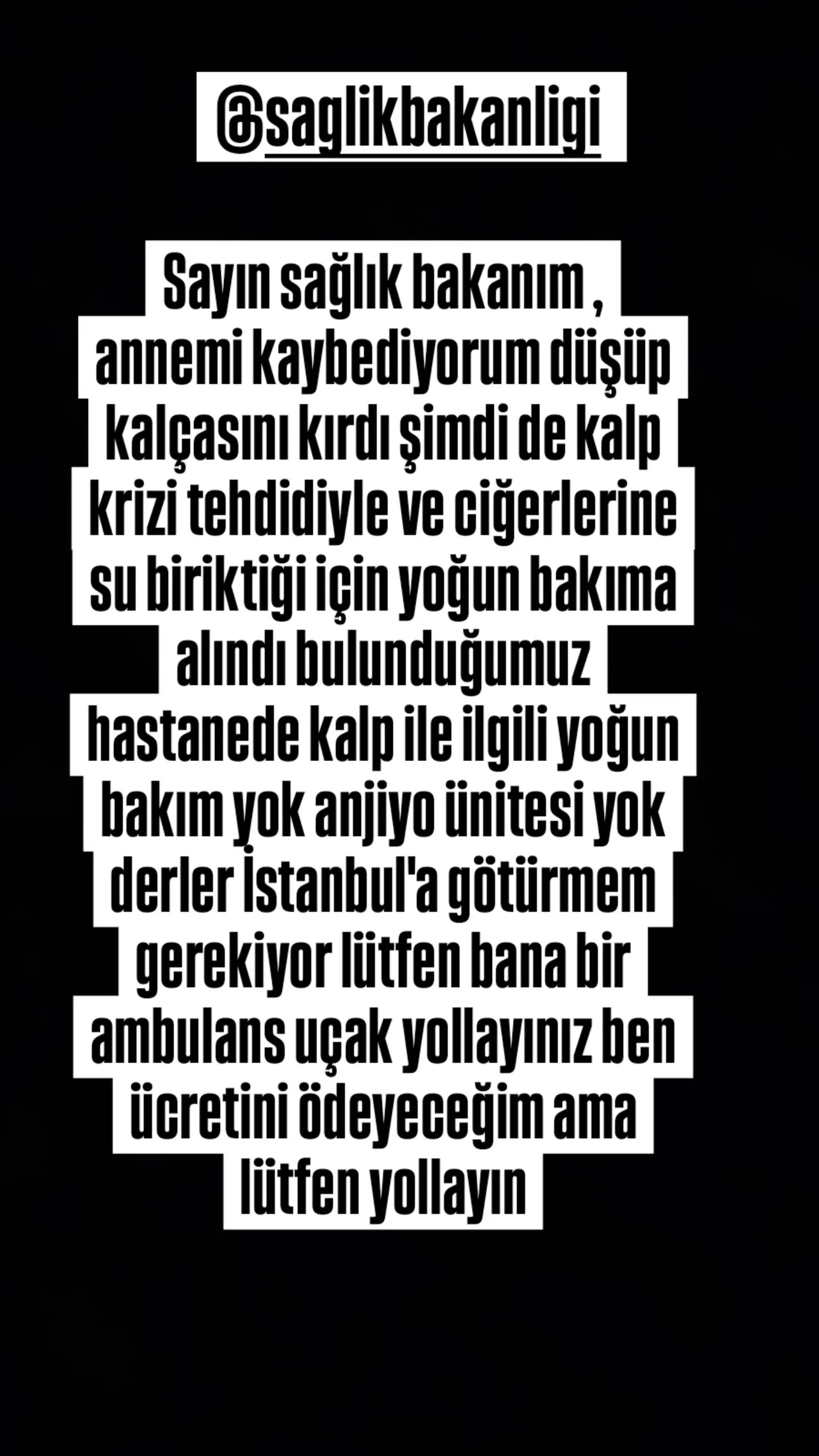 Seren Serengil'in paylaşımı...