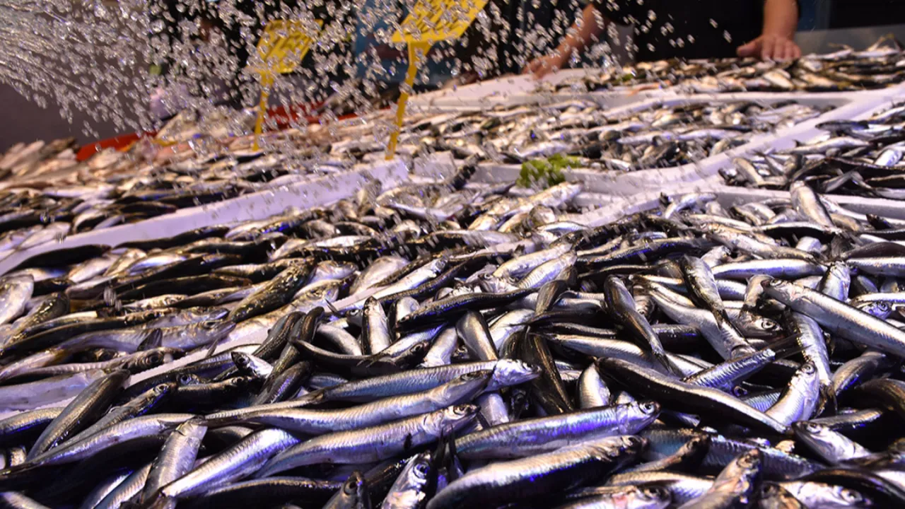 Vatandaş 50 TL'ye alışmıştı! Kilosu 150 TL'den satılıyor