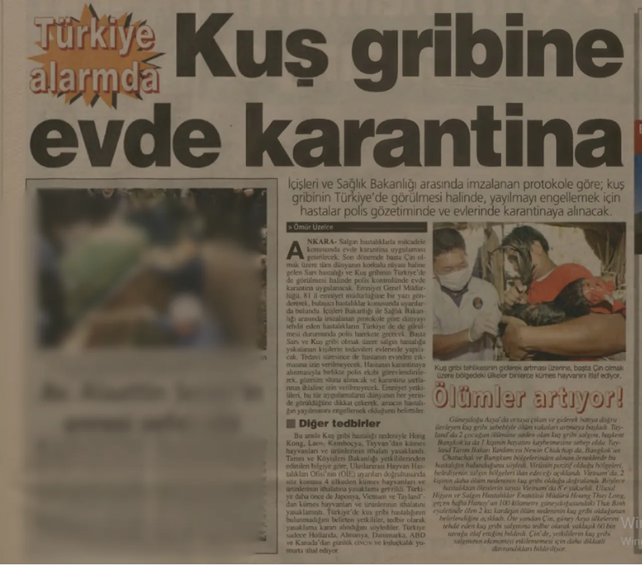 20 yıl sonra "kuş gribi" alarmı: Tavukların kabusu geri döndü