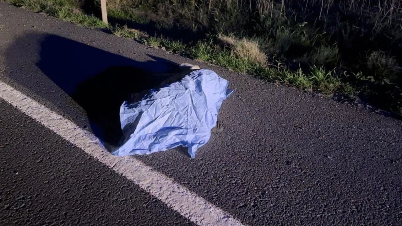 Araç çarptı, metrelerce uzağa savrularak feci şekilde can verdi