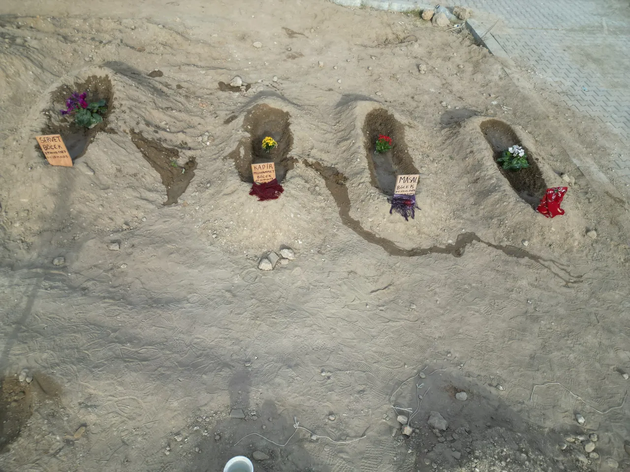 Böcek ailesi davasında temizlik görevlisinden kritik ifade: Ölü böcekler ve kül rengi madde gördüm