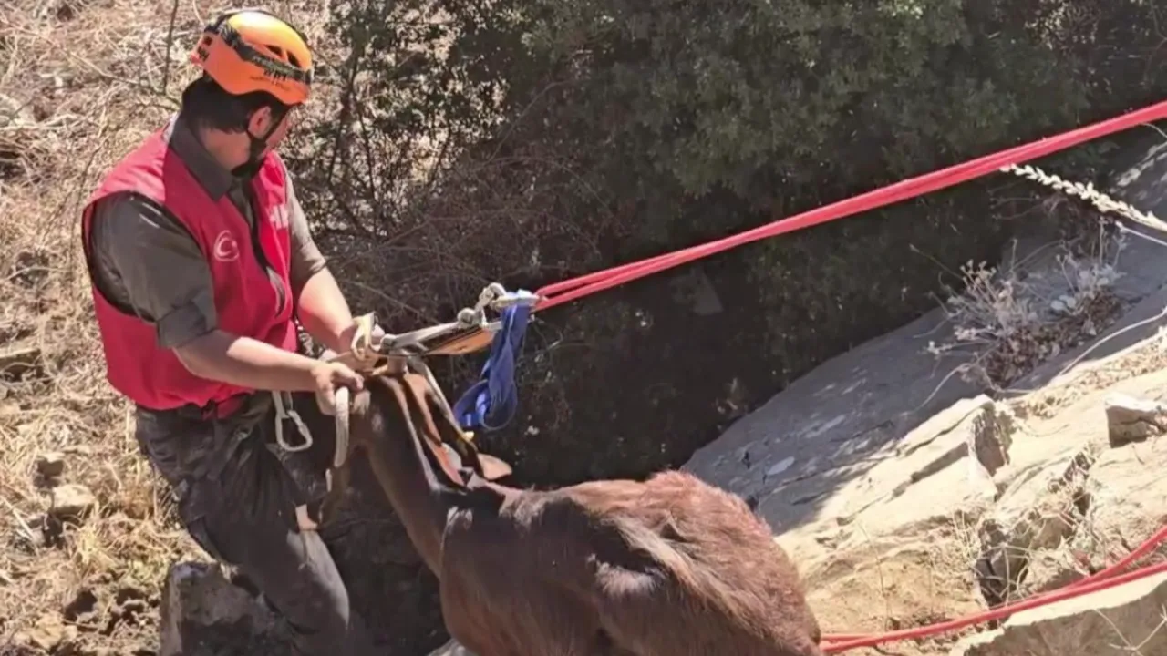Dağlık bölgede üç gün süren esaret film gibi operasyonla son buldu