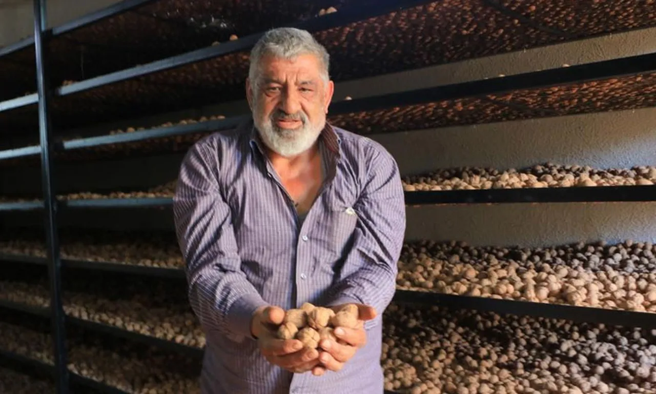 Fransa’da 40 yıl çalışıp Denizli’ye döndü! Kilosunu 200 TL’ye satıyor, Avrupa'daki maaşından daha çok kazanıyor