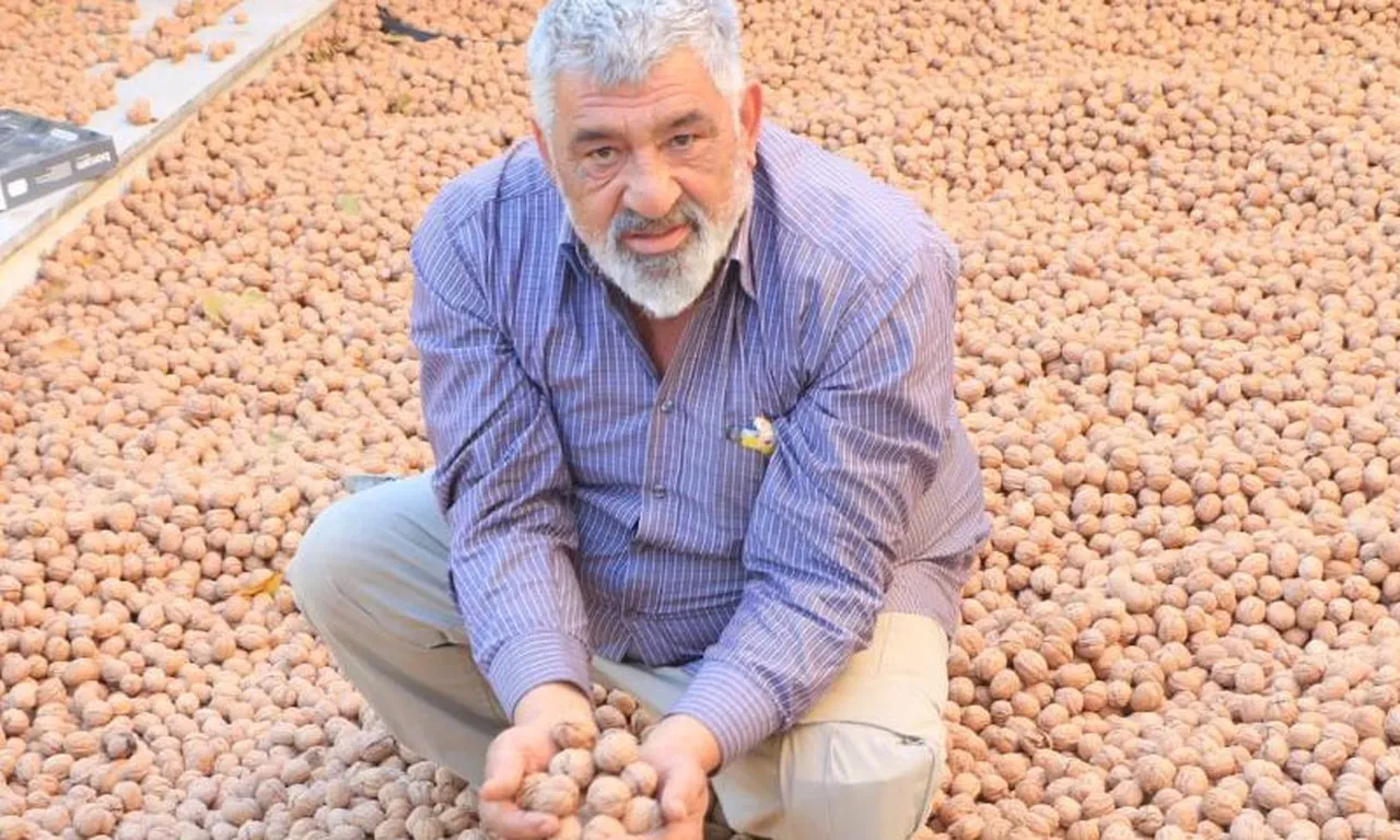 Fransa’da 40 yıl çalışıp Denizli’ye döndü! Kilosunu 200 TL’ye satıyor, Avrupa'daki maaşından daha çok kazanıyor